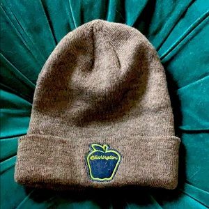 Spacecraft Washington Apple beanie